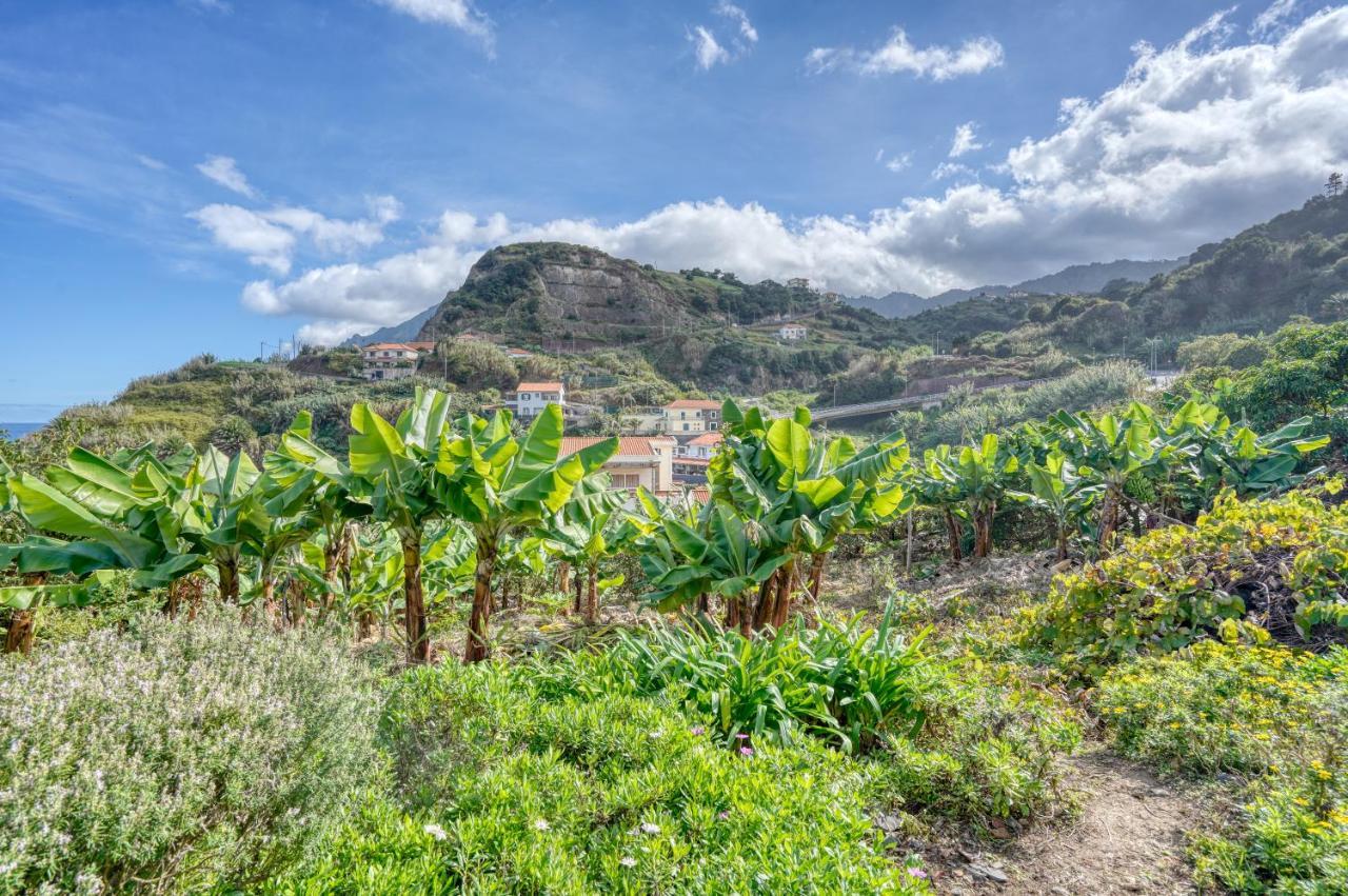 Quinta Da Vila Porto Da Cruz Exteriör bild